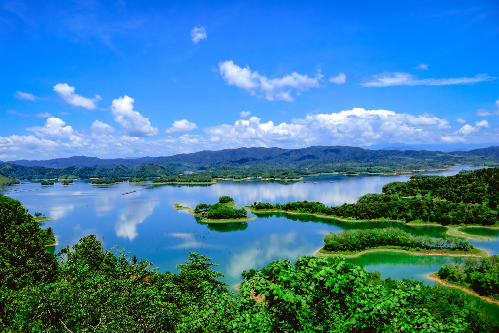 _MG_2387.jpg